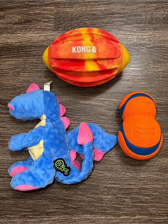 Other - Puppy Play Pack No. 1 | Medium/Large Dog Toy Bundle | KONG + Chuckit + GoDog